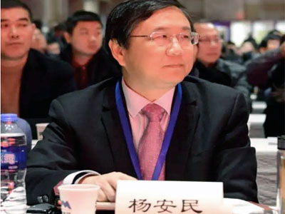 風生水起！楊安民董事長談上海山美股份有限公司經營之道 //高端訪談